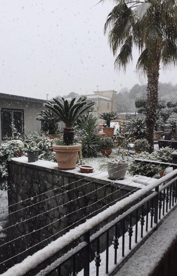 Carpe Diem B&B Ercolano Exteriör bild